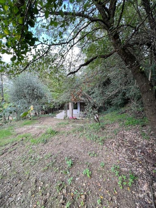 Eco-Chic Retreat: Countryside Oasis Near Florence Pozzolatico Eksteriør bilde