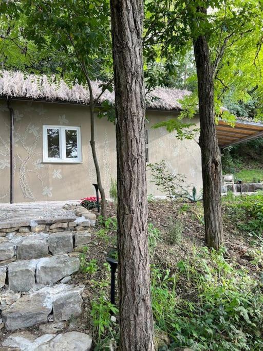 Eco-Chic Retreat: Countryside Oasis Near Florence Pozzolatico Eksteriør bilde